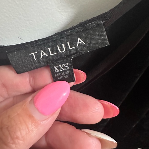 Talula (Aritzia) Velvet Dress - Picture 3 of 3